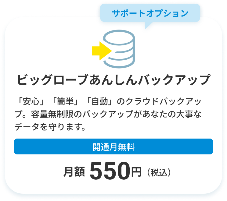 ビッグローブあんしんバックアップ