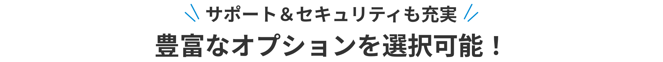 サポート&セキュリティも充実 豊富なオプションを選択可能