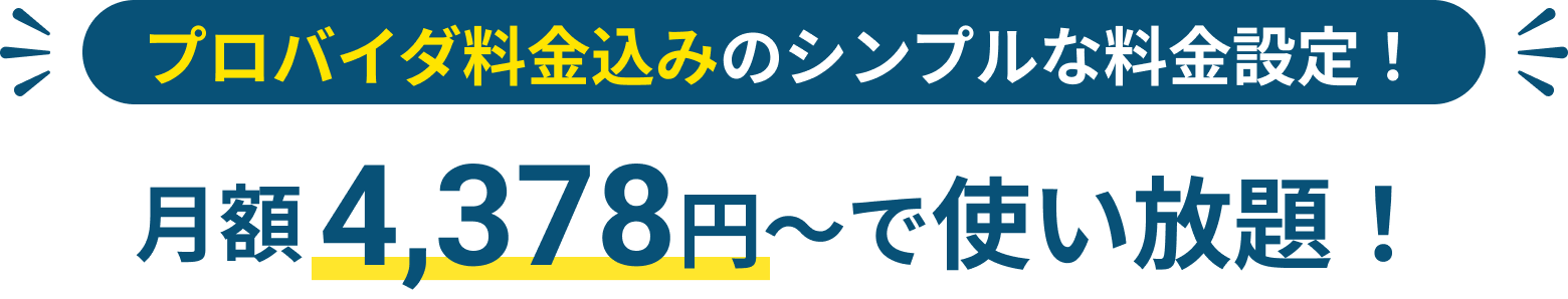 プロバイダ料金込みのシンプルな料金設定 月額4,378円~で使い放題