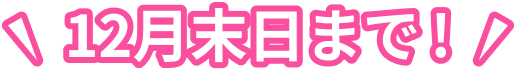 12月末日まで!