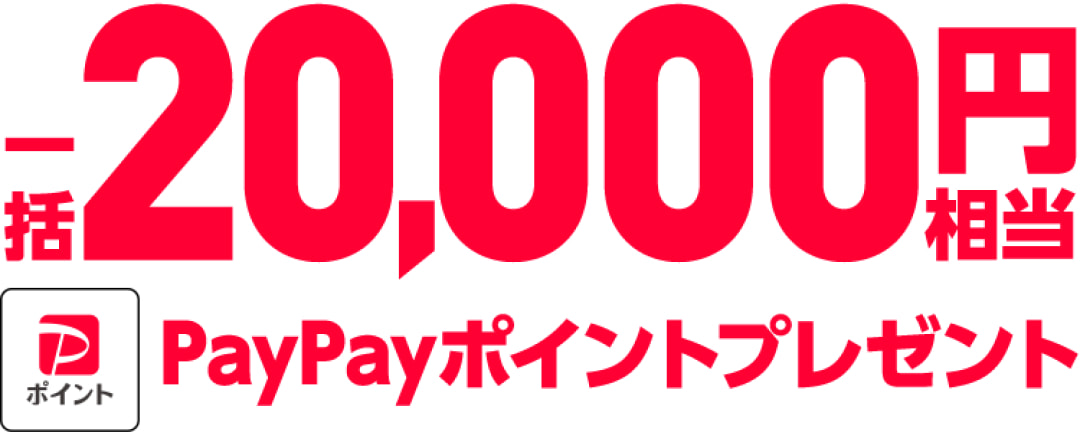 一括20,000円相当PayPayポイントプレゼント