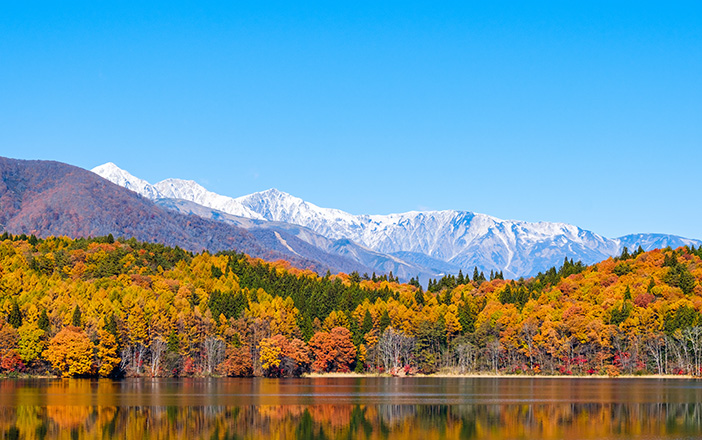 長野の紅葉