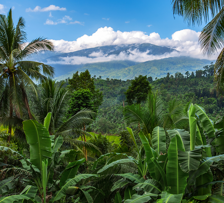 ジャングリア沖縄