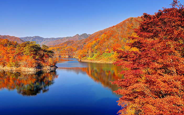 栃木の紅葉