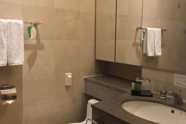 ソマーセット パレス ソウル 画像4